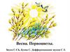 Звуки [С-СЬ], Буква С. Дифференциация звуков С-З. Весна. Первоцветы