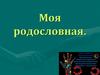 Моя родословная