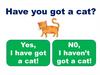 Have you got a cat?