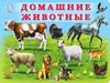 Домашние животные