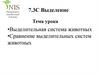 Выделительная система животных. Сравнение строения выделительных систем животных