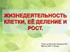 Жизнедеятельность клетки, ее деление и рост