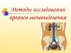 Методы исследования органов мочевыделения