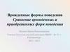 Врожденные формы поведения. Сравнение врожденных и приобретенных форм поведения
