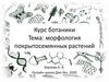 Морфология покрытосемянных растений