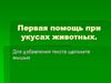 Первая помощь при укусах животных