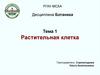 Растительная клетка