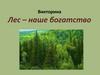 Лес - наше богатство. Викторина