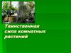 Таинственная сила комнатных растений