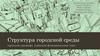 Структура городской среды