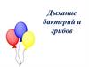 Дыхание бактерий и грибов