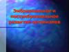 Эмбриональное и постэмбриональное развитие организмов