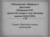 Плакат «Проблемы лесных насаждений»