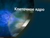 Клеточное ядро