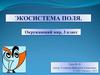 Экосистема поля