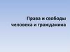Права и свободы человека и гражданина. Тема 8. Лекция 8