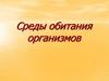 Среды обитания организмов