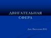 Двигательная сфера