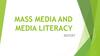 Mass media and media literacy report