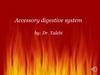 Accessory digestive system