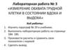 Измерение обхвата грудной клетки в состоянии вдоха и выдоха. Лабораторная работа № 3