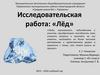 Исследовательская работа: «Лёд». 1 класс