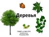 Деревья