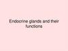 Endocrine glands and their functions