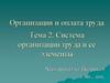 Система организации труда и ее элементы. Тема 2