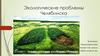 Экологические проблемы Челябинска
