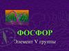 Элемент V группы фосфор