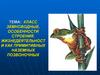Класс земноводные