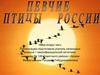 Певчие птицы России