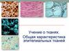 Учение о тканях. Общая характеристика эпителиальных тканей