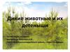 Дикие животные и их детеныши