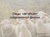 Овцы, как объект современной физики