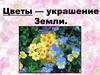 Цветы — украшение Земли