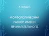 Морфологический разбор имени прилагательного  (5 класс)