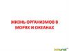 Жизнь организмов в морях и океанах