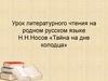 Урок литературного чтения на родном русском языке Н.Н.Носов «Тайна на дне колодца»