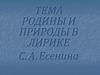 Тема родины и природы в лирике С.А. Есенина