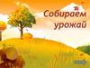 Собираем урожай