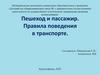Пешеход и пассажир. Правила поведения в транспорте