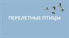 Перелетные птицы