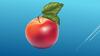 Яблоко. Рисунок