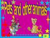 Pets and other animals