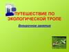 Путешествие по экологической тропе