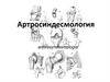 Артросиндесмология. Виды соединений костей