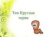 Тип Круглые черви