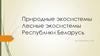 Лесные экосистемы Республики Беларусь